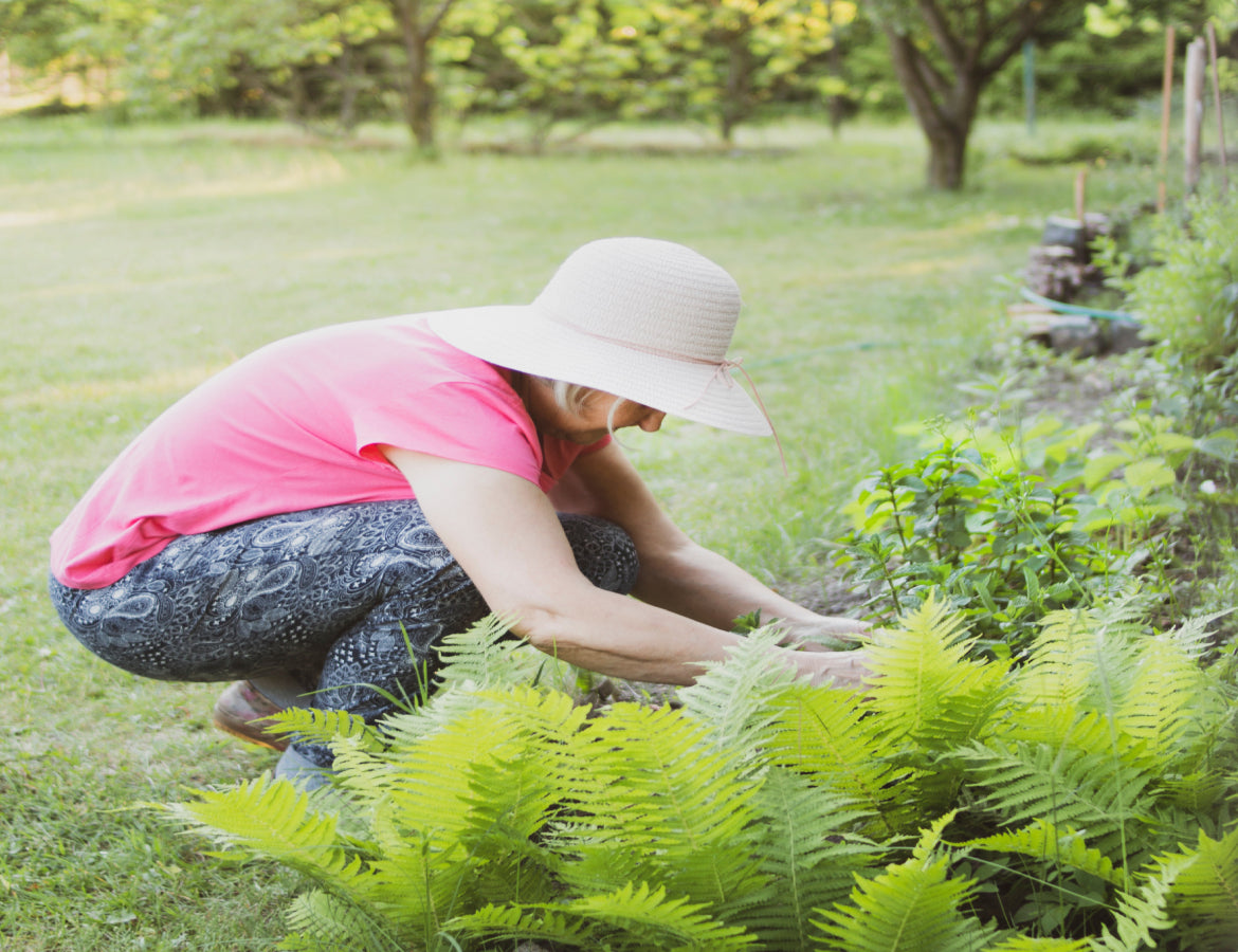 A Guide to Grow Your Own Garden