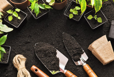 Gloves & Trowel