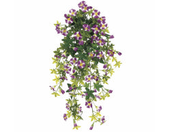Watering plant