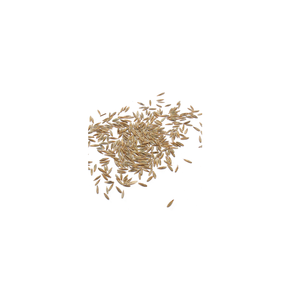 Grass seed