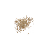 Grass seed