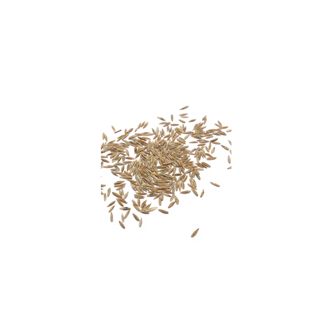 Grass seed